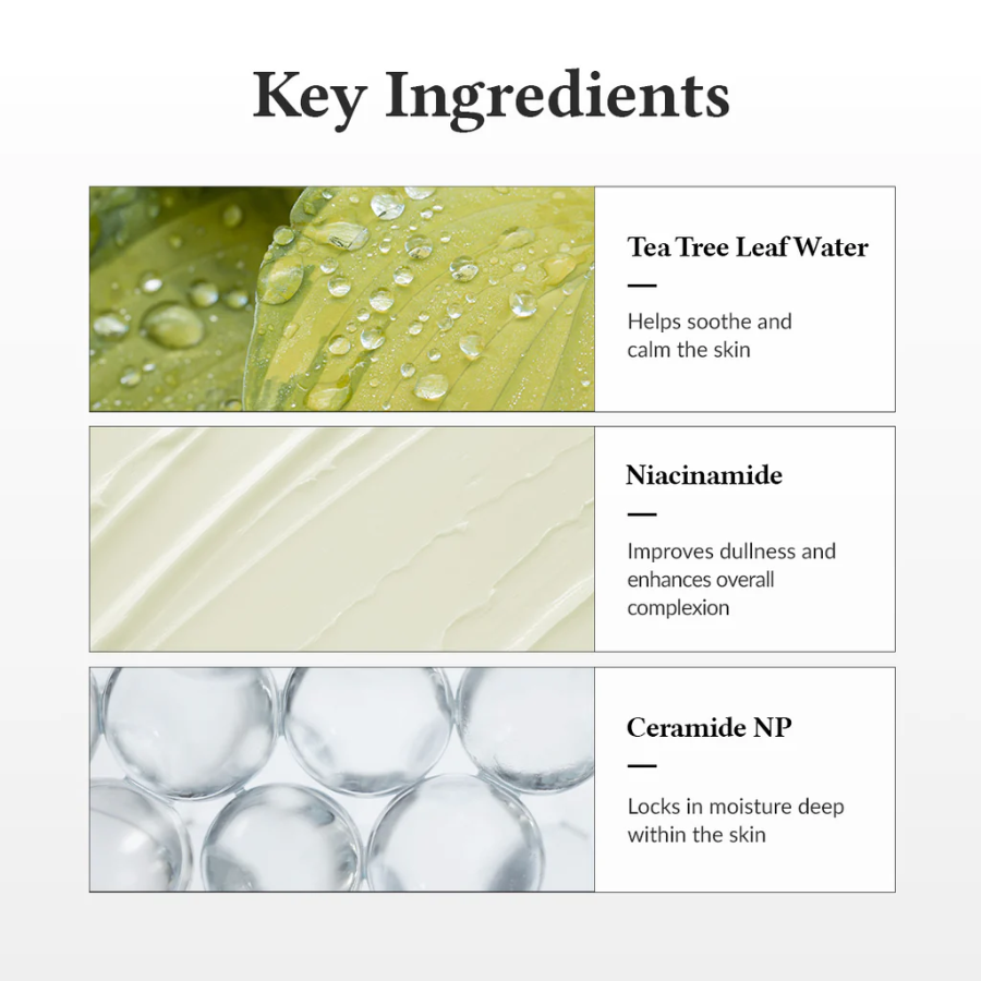 Nøgleingredienser til hudpleje: Grøn te blade vand, niacinamid og ceramide NP for beroligende, antioxidante og fugtgærdende egenskaber.