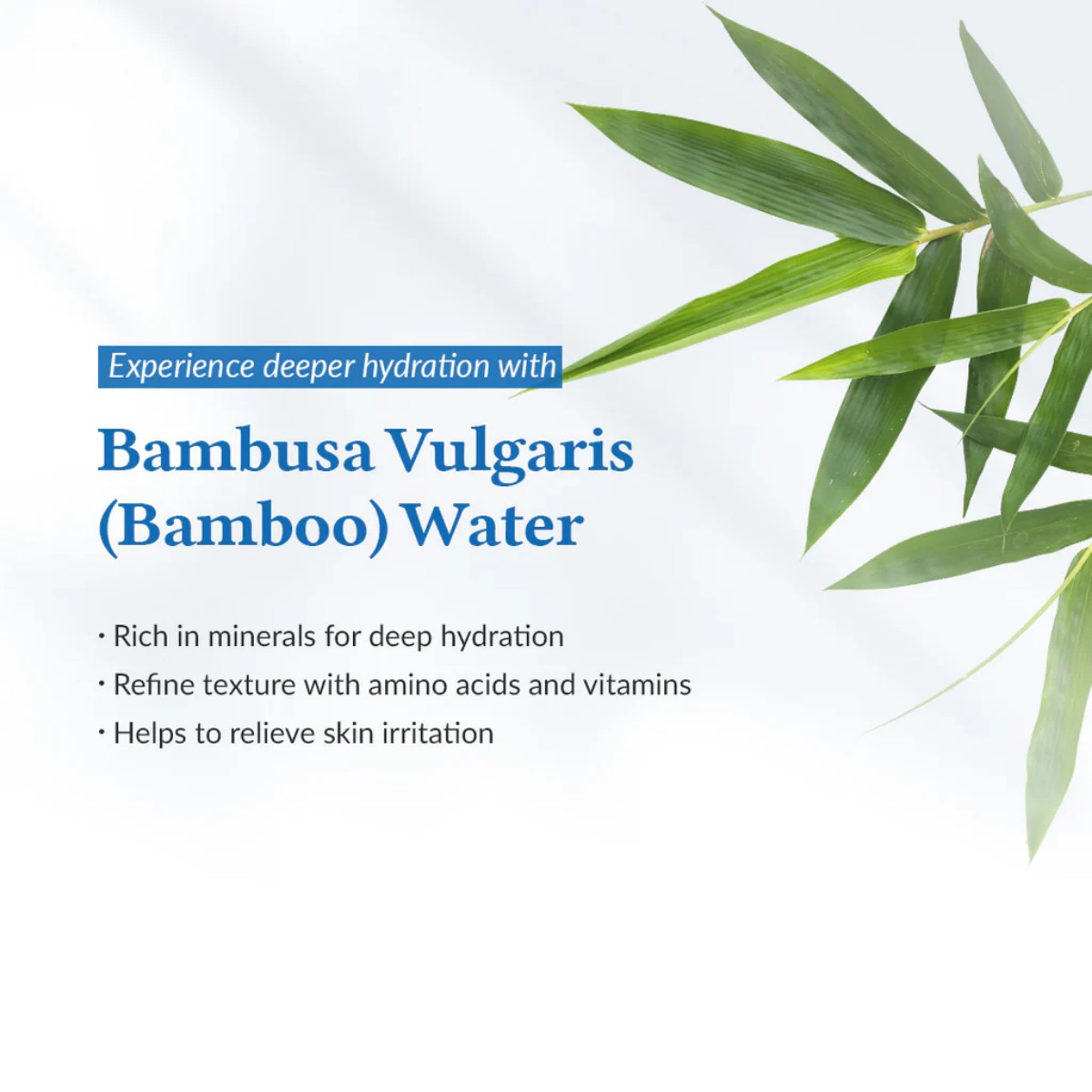 Dr.Althea - Aqua Marine Watery Cream 50 ml - Image 3