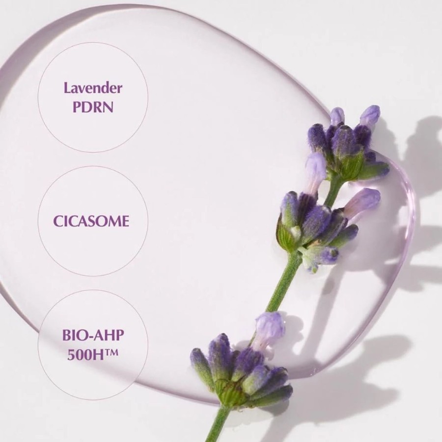 Kaine - Lavender PDRN Revitalizing Toner 30 ml Kaine - Lavender PDRN Revitalizing Toner 30 ml - Image 3