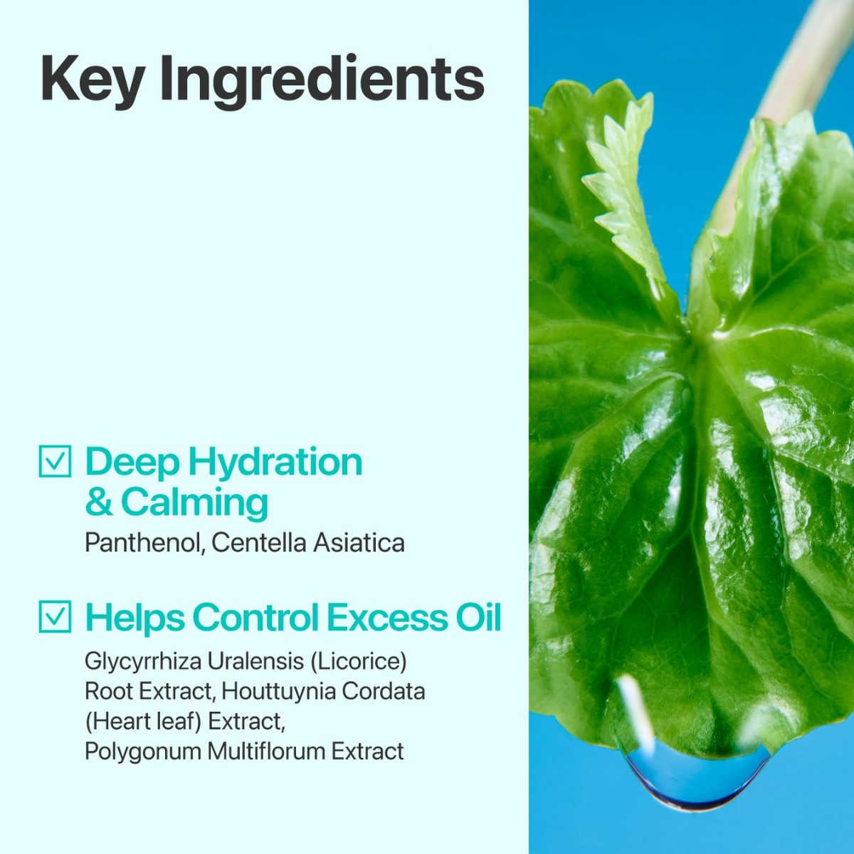 Numbuzin - No.1 Pure-Full Calming Herb Toner 300 ml Numbuzin - No.1 Pure-Full Calming Herb Toner 300 ml - Image 5